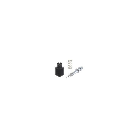 Kit tornillo ajuste BRIGGS ET STRATTON 794176 - 498030