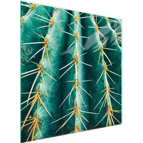 Protezione in vetro per piano cottura 50x52 Cactus (1/5)