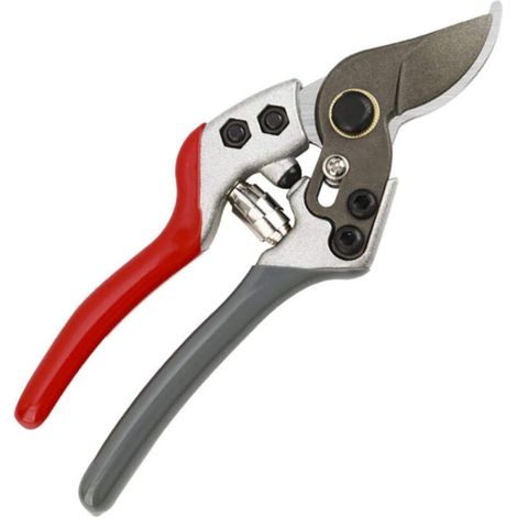 Sécateur - Acier Inoxydable - Coupe Jusqu'à 30 mm - Pour Arbres Fruitiers Greffage Et Taille De Plantes - 1 Pièce (1/5)