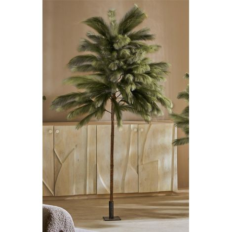 Arbre de la Pampa Vert 200 cm. 200 cm (1/3)