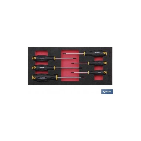 Module d'outils Torx à 6 pièces, mesurant 393 x 180 mm, adaptable aux tiroirs Cofan