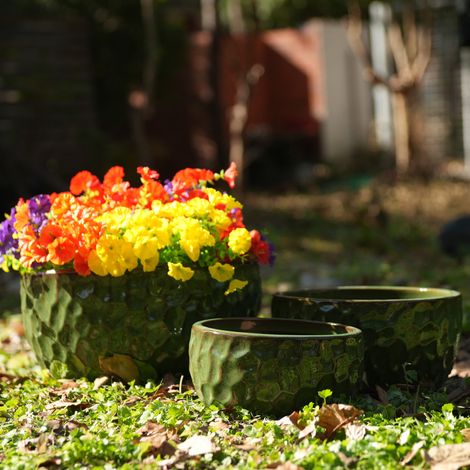 Set di 3 vasi da fiori in ceramica verde antico, con fori di drenaggio DESVIAE (1/5)