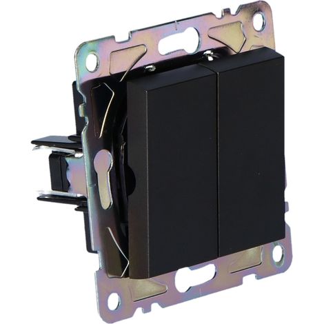 Interruptor doble, negro, gama online (1/4)