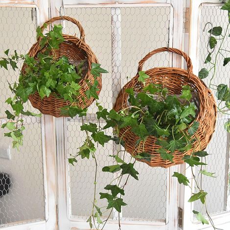 Pots de Fleurs à Suspendre en Rotin, Panier Porte-Fleurs Suspendu Tissé à La Main Suspendu Panier Tissé Décoration Murale Panier de Rangement Rond en Rotin Tissé pour Plantes Intérieure Ou Extérieure (1/4)