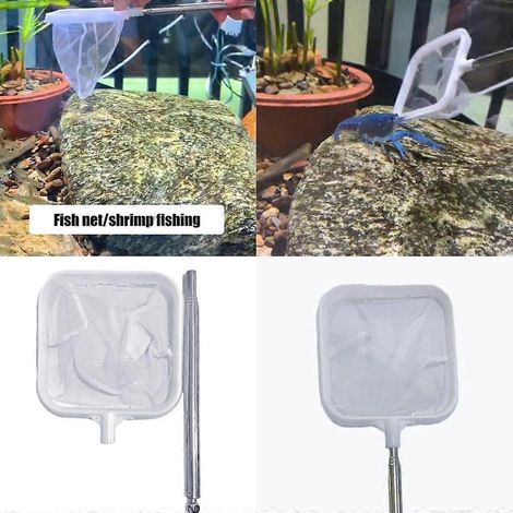Épuisette de pêche de rangement avec poignée amovible pour usage domestique et professionnel (1/4)