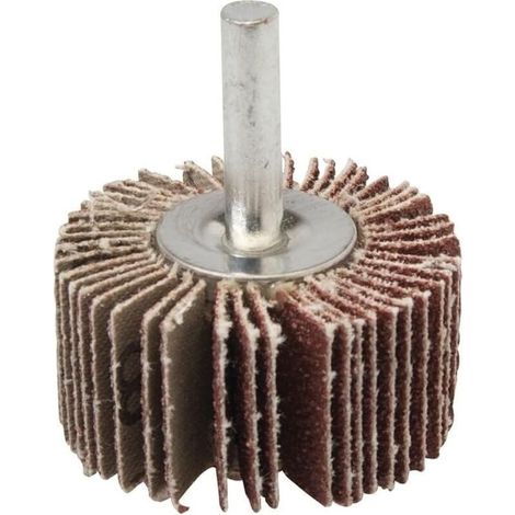 Meule abrasive de 40 mm, grain 80 (1/3)
