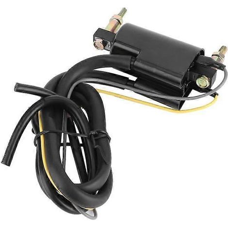 Bobines d'allumage moteur 211711019 410916900 410920100, compatibles avec ROAD STAR WARRIOR 1700. (1/4)