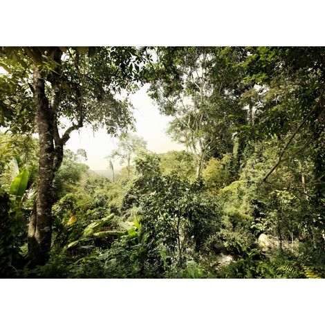 Papier peint panoramique méditerranéen Jungle (1/3)