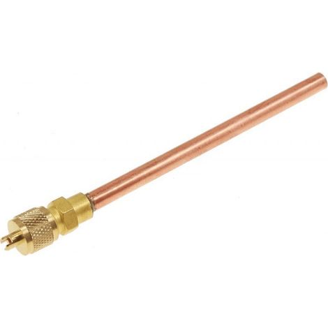 TUBE SERVICE AVEC VALVE (6 NFMSSV) POUR OUTILLAGES SCHOLTES - C00043021 (1/3)