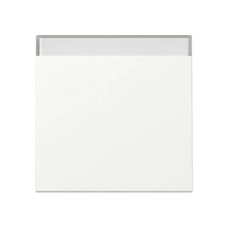 Gira Bilanciere BSF System 55 Bianco puro m [329927], 3299 27