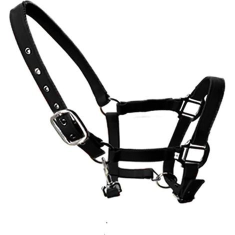 verstellbares Nylon-Pferdehalfter mit Messingschnallen und doppellagigem Riemen für Fohlen, Ponys und Esel (1/4)