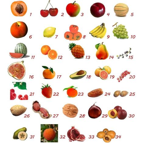 Piante da Frutto – Varie Specie – Vaso 20 e 24 – Piante 2-4 Anni