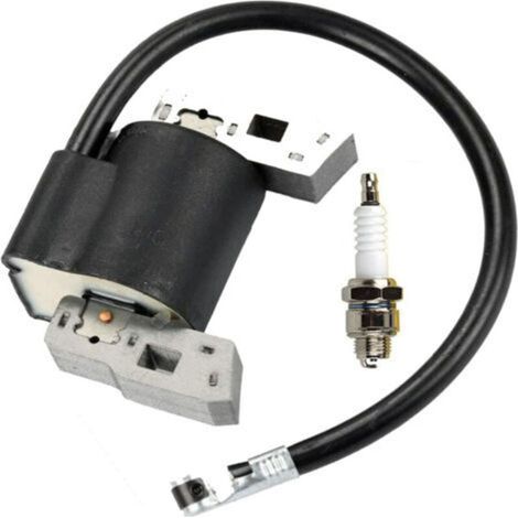 Pack bobine d'allumage haute tension adapté pour 397358 298316 395491 697037 avec bougie d'allumage (1/4)