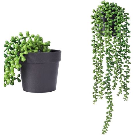2 Pcs Plantes Suspendues Succulent Lovers Tears Suspendus Art Succulents pour Intérieur Extérieur Décor Succulent Lovers Tears Jardinières Suspendues (1/5)
