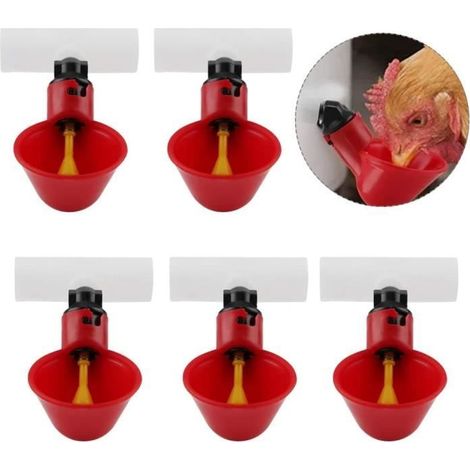 Volaille Automatique Abreuvoir,5pcs Distributeur d'eau Tasse Bol d‘Eau en Plastique Buveur d'eau pour Oiseau Caille Pigeon Poulet (1/4)