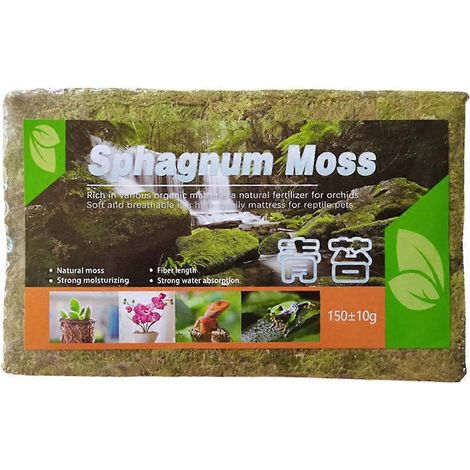Mousse de sphaigne compressée pour plantes en pot, terreau pour orchidées, tuteur en tourbe (1/4)