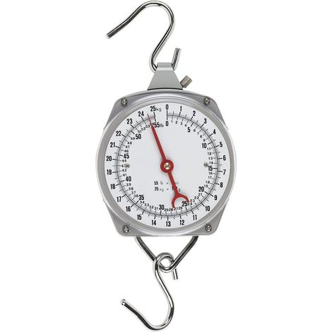 Peson dynamométrique argenté 25 kg