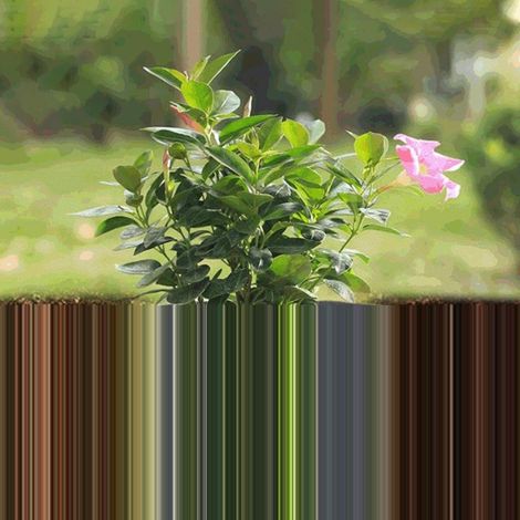 Confezione da 20 tappetini per il controllo delle erbacce, 32 cm, per giardinaggio e paesaggistica - ALTRO (1/4)