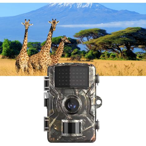 Caméra infrarouge étanche H1 avec capteur de vision nocturne, caméra de recherche scientifique, caméra d'action infrarouge (1/5)