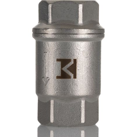 Clapet anti-retour en Acier inoxydable RS PRO, 1/2pouce, 63 bar ( Prix pour 1 )
