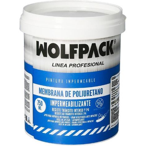 Pintura impermeabilizante transparente 750 ml para interiores y exteriores (1/5)