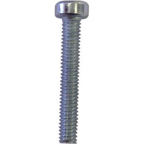 Vis cylindrique TOOLCRAFT 888132 100 pc(s) M4 12 mm tête cylindrique 6 pans acier N/A (1/2)
