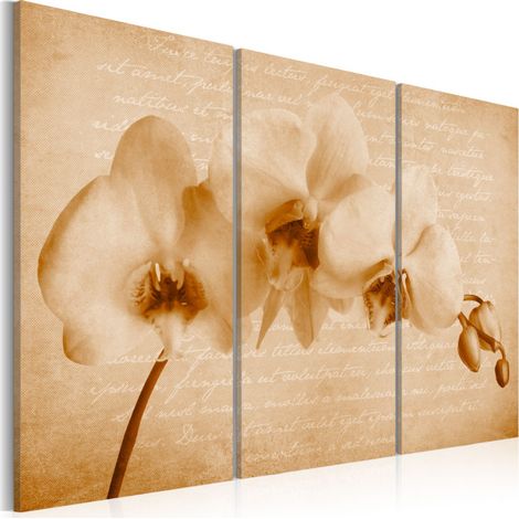 Tableau Imprimé "Orchidée Vintage" 40 x 60 cm (1/2)