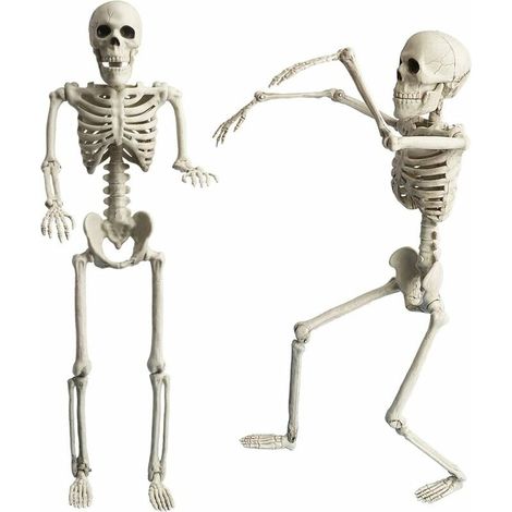 Realistic Jointed Hanging Skeleton for Halloween Indoor (40cm) 5 Pieces (1/5)