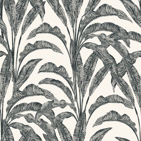 Papier peint feuilles bananier tropical noir blanc
