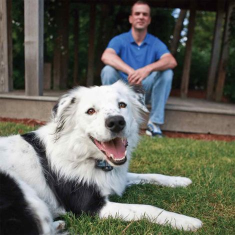 Petsafe Sistema Senza Fili di Contenzione per Cani