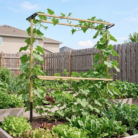 Treillis métallique flexible pour la culture des petits fruits : framboises, mûres et myrtilles – treillis extensible