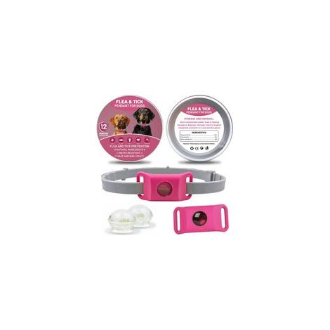 AqualityPets Collier Antiparasitaire Chien Naturel, Protège Contre Puces, Tiques et Phlébotomes, Protection 12 Mois – Résistant à l’Eau, Taille Unique, 100% sans Produits Chimiques (Rose) (1/5)