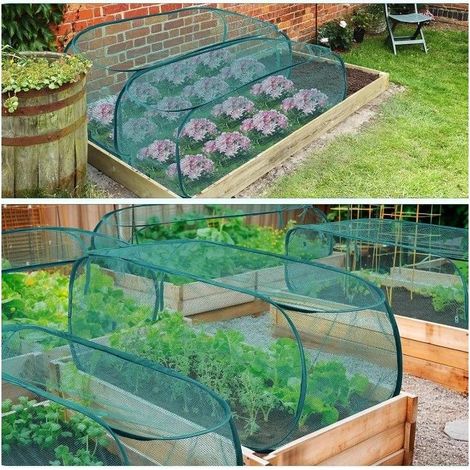 Cage de protection pour couverture de serre, pliable en maille pop-up, avec 4 fixations au sol (1/5)