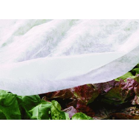 Frostschutzmittel in T.N.T. Für Outdoor- oder Gewächshauspflanzen verschiedene Maßnahmen Agrithermo Brixo - H1.6x10 mt.