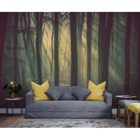 Papier Peint Forêt - Rayons Mystiques - 400 x 260 cm (1/2)