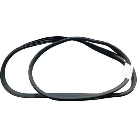 Joint Porte Avant Gauche RENAULT Zoe [PRODUIT D'OCCASION]♻️808324593r