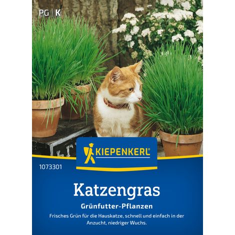 Kiepenkerl Saatgut Katzengras Frischgrün Mischung für ca. 1 m²
