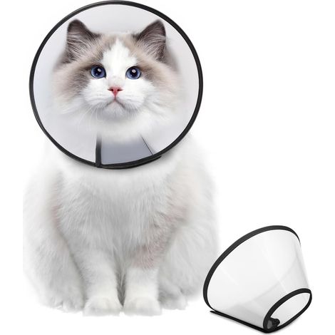 Collier conique réglable après chirurgie, collier de convalescence confortable pour chiens de grande, moyenne et petite taille, collier élisabéthain en plastique pratique (1/4)
