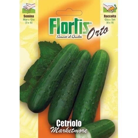 CETRIOLO MARKETMORE