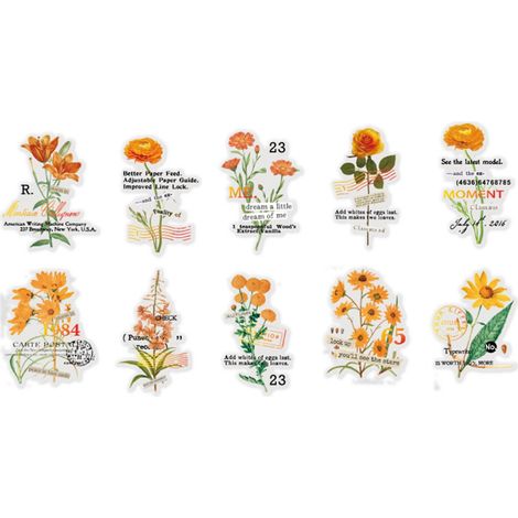 Lot 10 autocollants fleurs transparents PET vintage pour décoration carnet, cahier, type 2 (1/5)