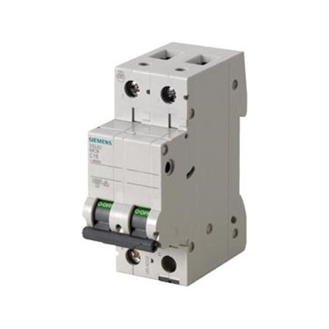 Interruttore Magnetotermico 400V 6Ka, A 2 Poli C, 13A Esecuzione Italia, 2PC13