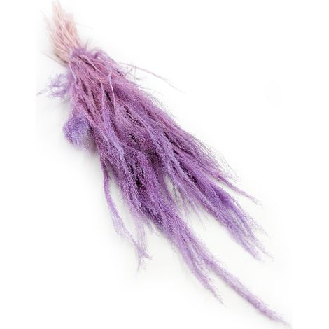 Hierba agrostis seca - Lila