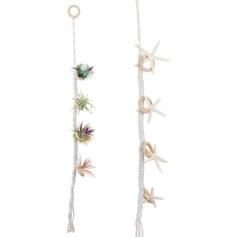 Support pour Plantes Grimpantes - Tuteur pour Rosiers et Fleurs d'Intérieur - Cadre Fixe