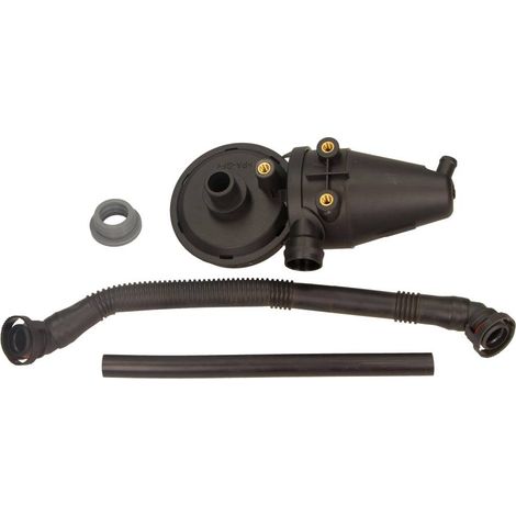 Valve pneumothorax BMW Maxgear (kit)