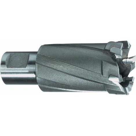 RUKO  frese  a  corona  Weldon  HM  Ø  45  mm  -  108745 (1/2)