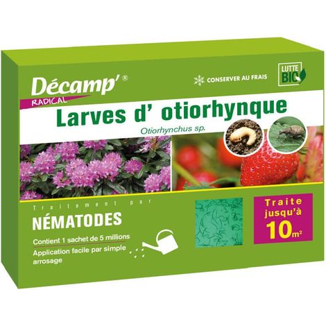 Nématodes Heterorhabditis bacteriophora anti otiorhynques 5M – Traitement biologique pour racines – 10m² de protection durable – Décamp'