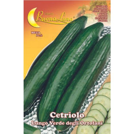 SEMI ORTO CETRIOLO VERDE- HORTUS SEMENTI- 10,0 pz
