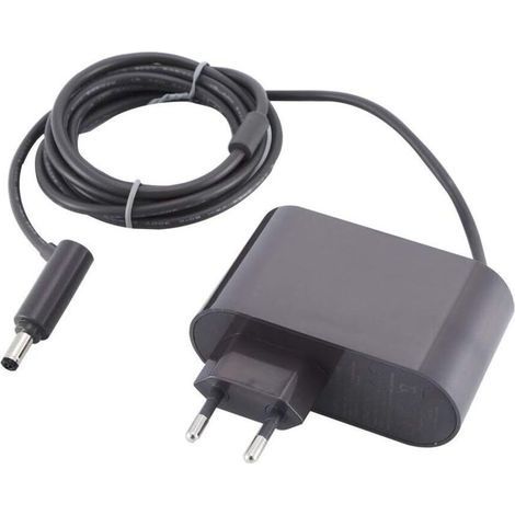 Chargeur pour Dyson V6 V7 V8 SV03 SV04 SV05 SV06 SV07 Absolute/Motorhead/Animal Aspirateur Chargeur,26.1V Batterie Chargeur pour Dyson DC61 DC62 DC58 DC59 DC60 DC74Aspirateur (1/4)