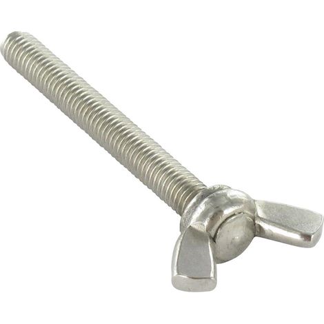 Vis Oreilles M6X12 Forme amEricaine Inox A2-30 pièces