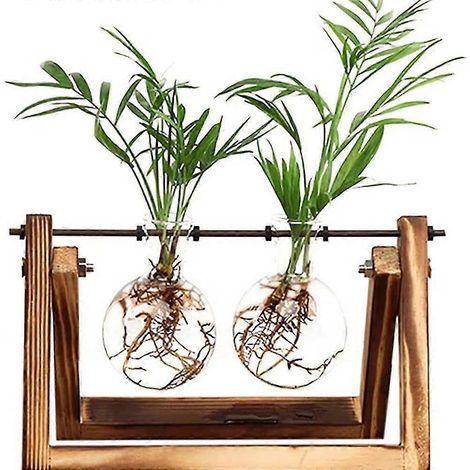 Vase hydroponique suspendu - Support décoratif en bois (1/5)